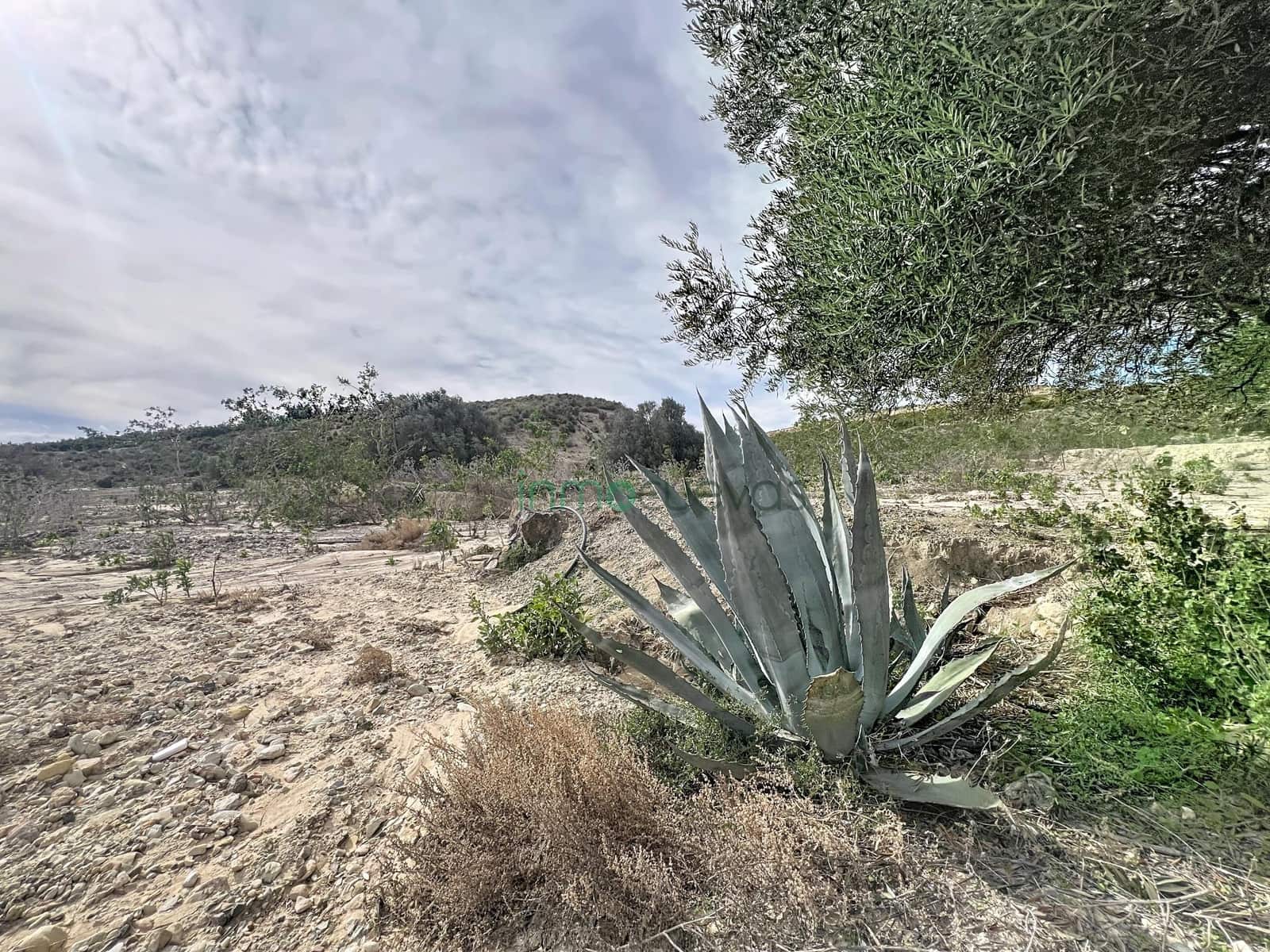 2 quarto Quinta/Casa Rural para venda em Cuevas del Almanzora - 60 000 € (Ref: 9548344)