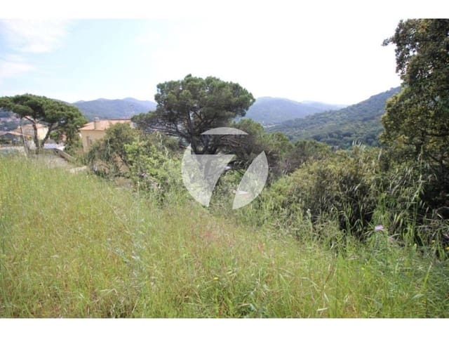 Building Plot for sale in Vallromanes - € 150,000 (Ref: 5385178)