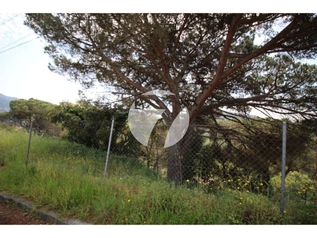 Building Plot for sale in Vallromanes - € 150,000 (Ref: 5385178)