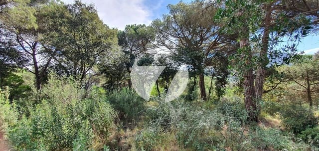 Terreno para Construção para venda em Vallromanes - 140 000 € (Ref: 5385192)