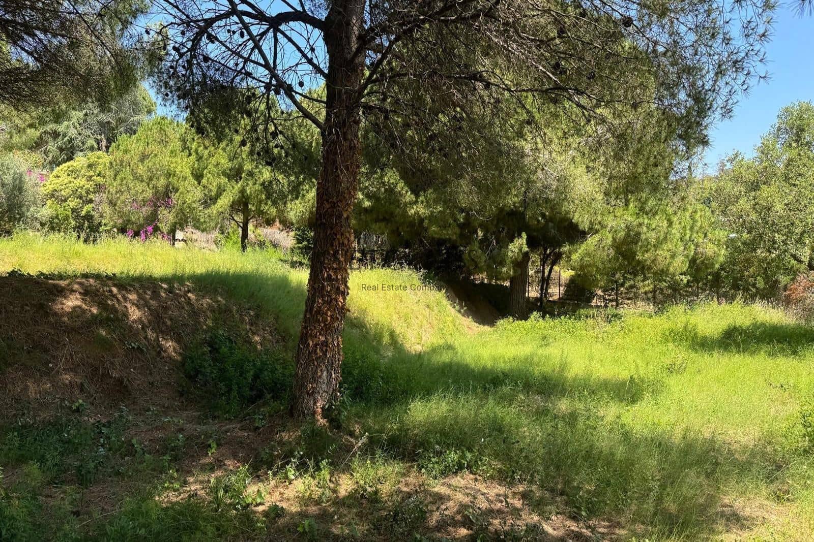 Tomt till salu i Cabrera de Mar - 525 000 € (Ref: 8461203)