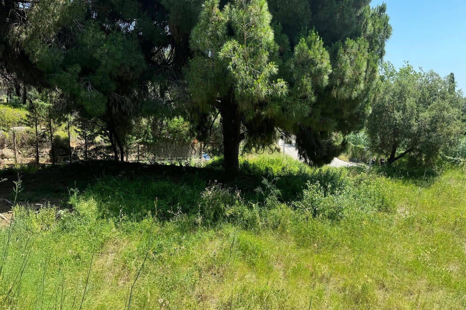 Tomt till salu i Cabrera de Mar - 525 000 € (Ref: 8461203)