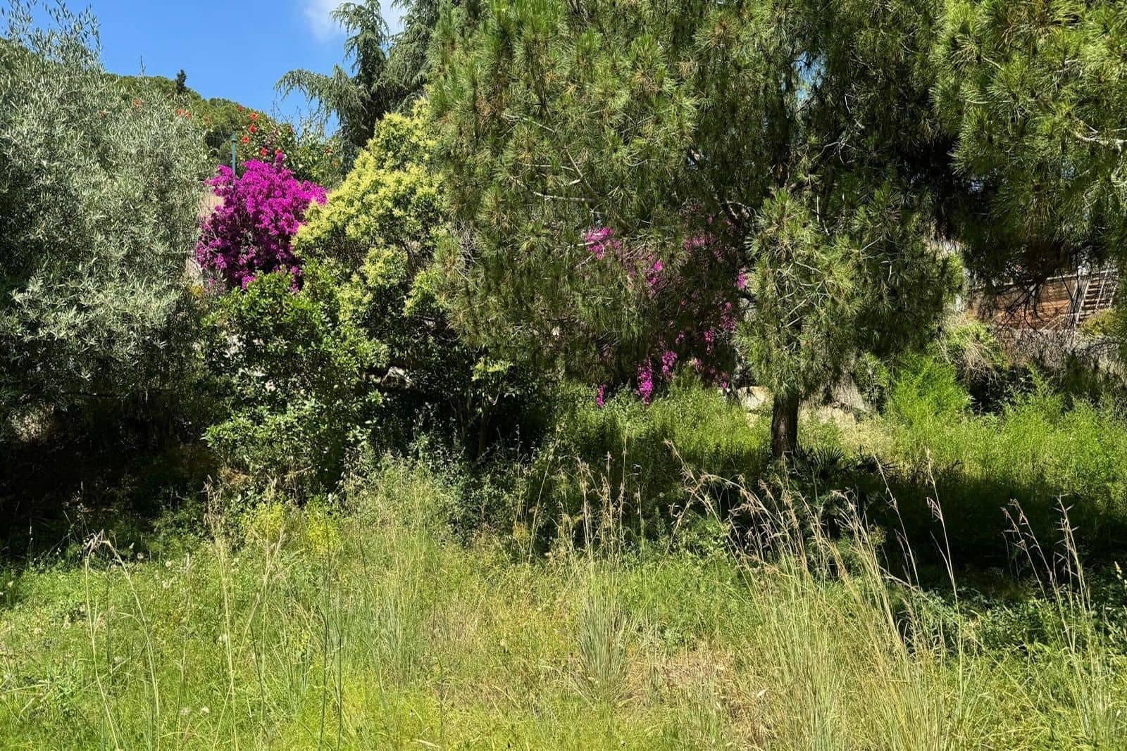 Tomt till salu i Cabrera de Mar - 525 000 € (Ref: 8461203)