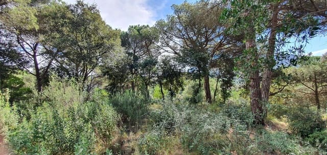 Terreno para Construção para venda em Vallromanes - 140 000 € (Ref: 8690317)