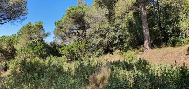 Terreno para Construção para venda em Vallromanes - 140 000 € (Ref: 8690317)