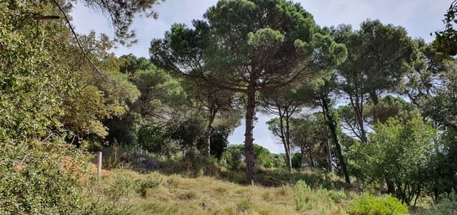 Terreno para Construção para venda em Vallromanes - 140 000 € (Ref: 8690317)