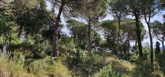 Terreno para Construção para venda em Vallromanes - 140 000 € (Ref: 8690317)