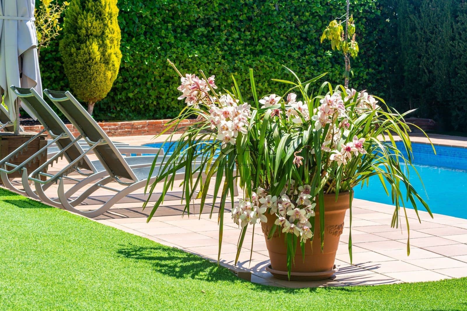 7 sypialnia Willa na sprzedaż w Teia z basenem garażem - 2 450 000 € (Ref: 8743929)