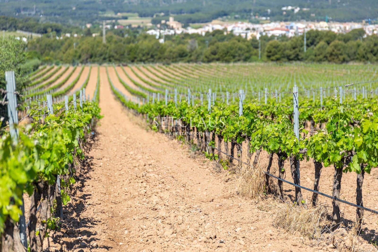 5 soveværelse Villa til salg i Sant Pere de Ribes - € 715.000 (Ref: 9779062)