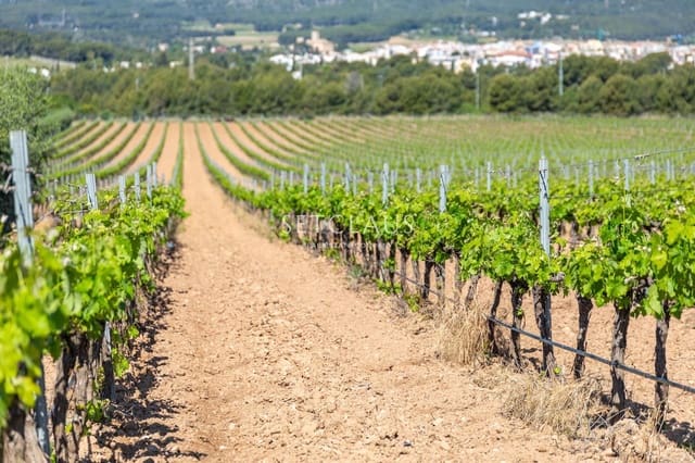 5 camera da letto Villa in vendita in Sant Pere de Ribes - 715.000 € (Rif: 9779062)