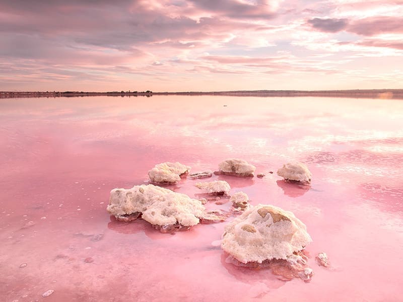 3 makuuhuone Paritalo myytävänä paikassa Torrevieja mukana uima-altaan 
autotalli - 620 000 € (Ref: 9591641)