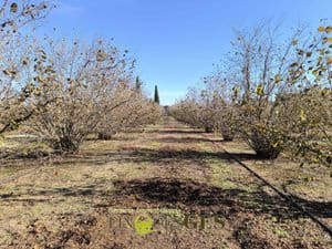 Teren niezagospodarowany na sprzedaż w El Mila - 239 000 € (Ref: 10094890)