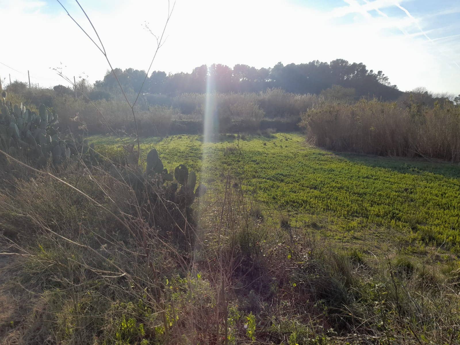 Finca/Herregård til salgs i Valls - € 69 900 (Ref: 6816102)