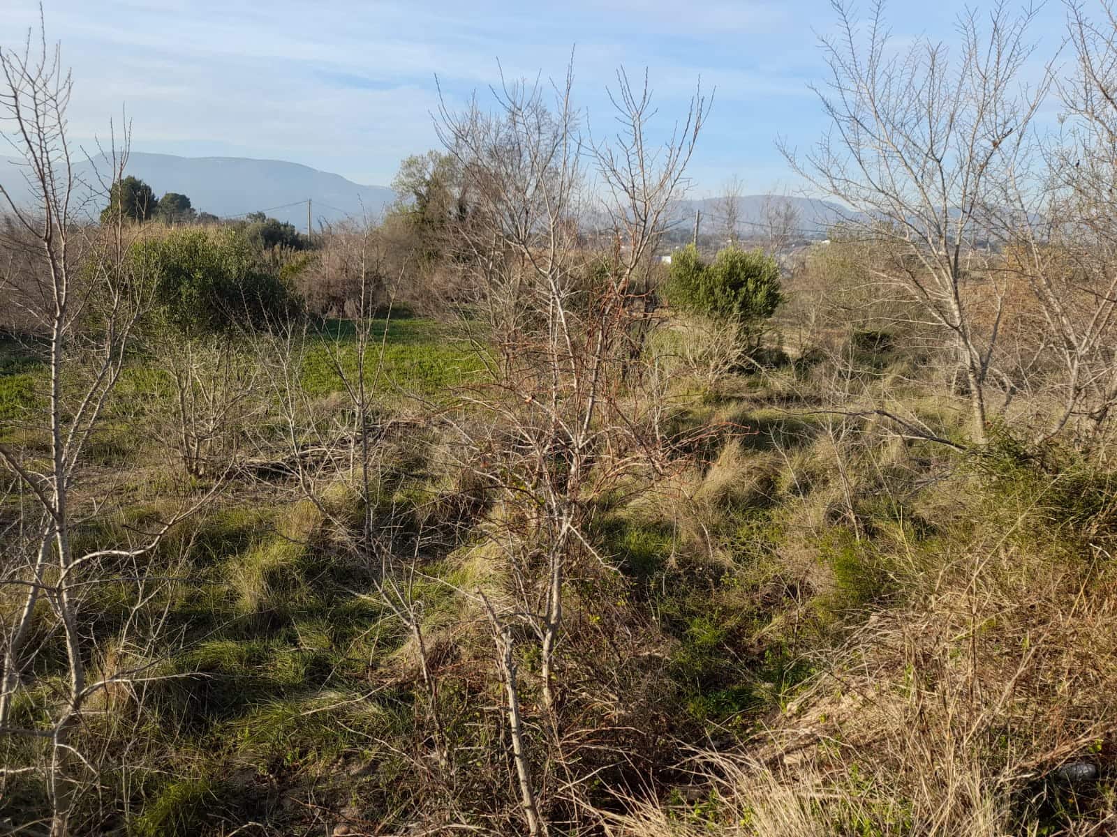 Finca/Herregård til salgs i Valls - € 69 900 (Ref: 6816102)