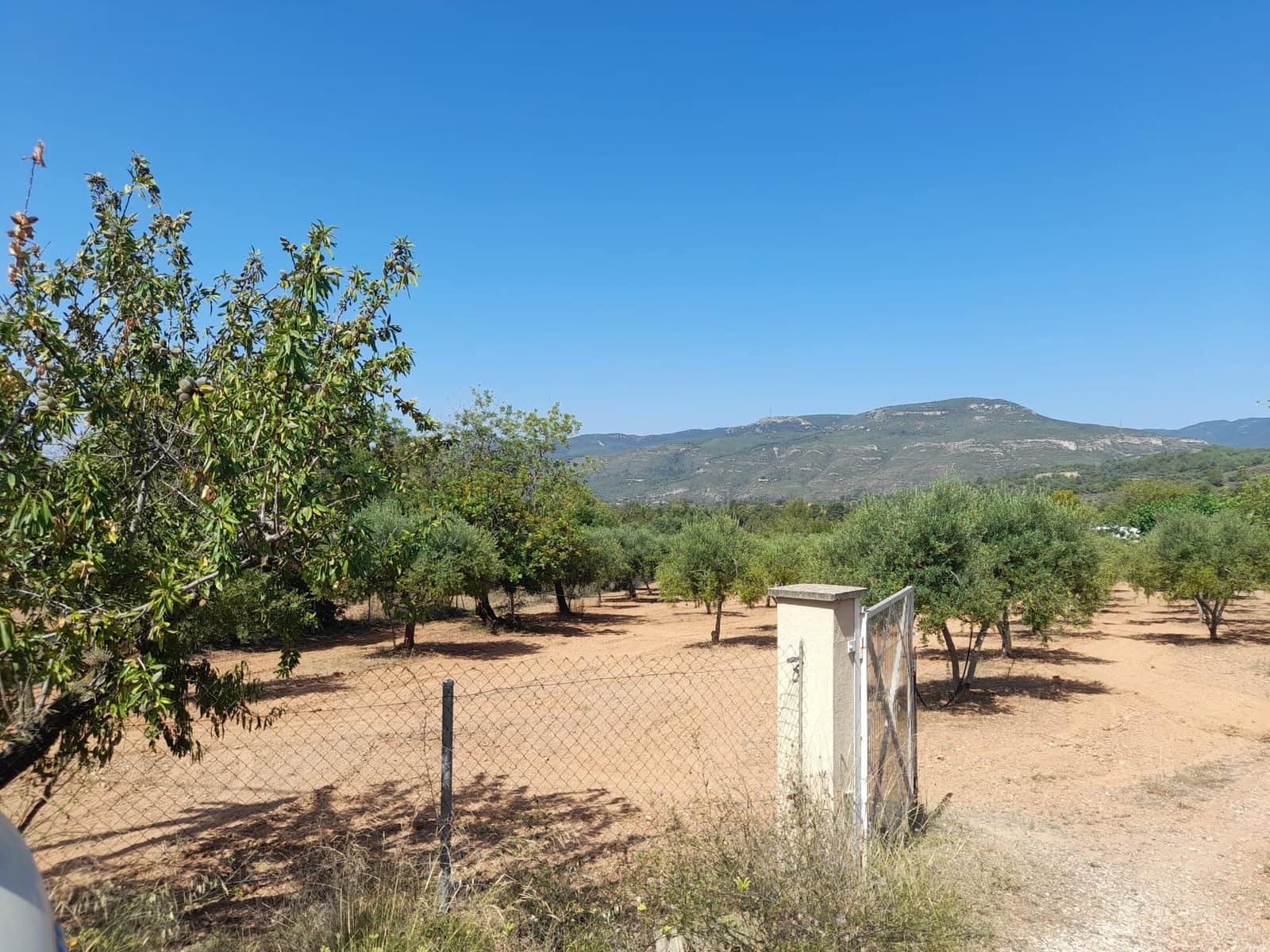 1 sypialnia Finka/Dom wiejski na sprzedaż w Valls z basenem - 109 000 € (Ref: 8935656)