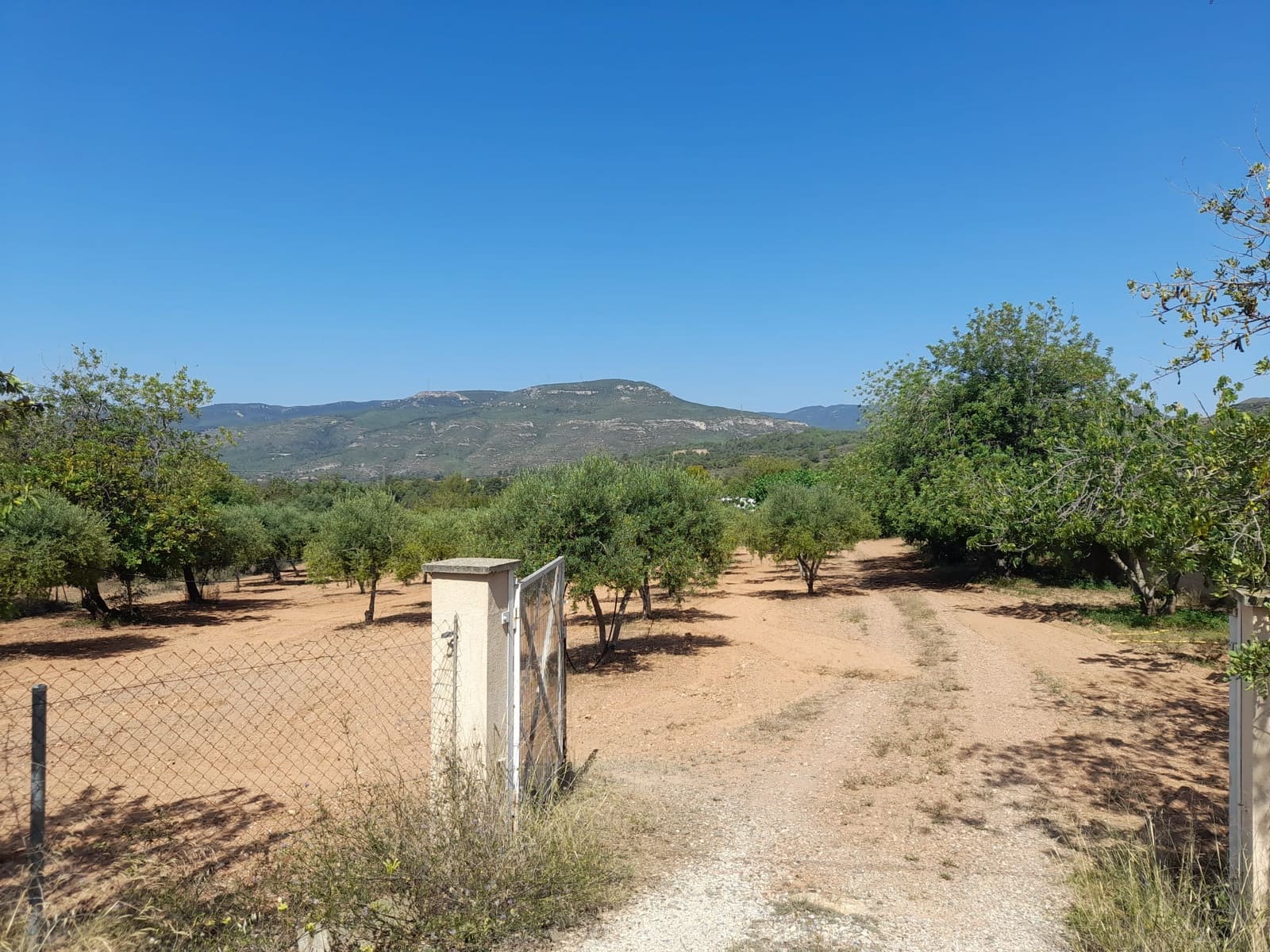 1 sypialnia Finka/Dom wiejski na sprzedaż w Valls z basenem - 109 000 € (Ref: 8935656)