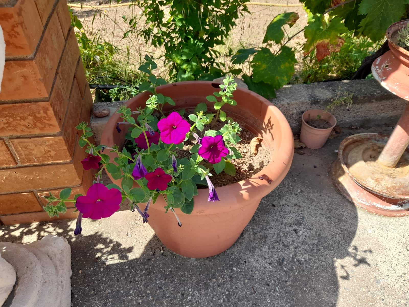 1 sypialnia Finka/Dom wiejski na sprzedaż w Valls z basenem - 109 000 € (Ref: 8935656)