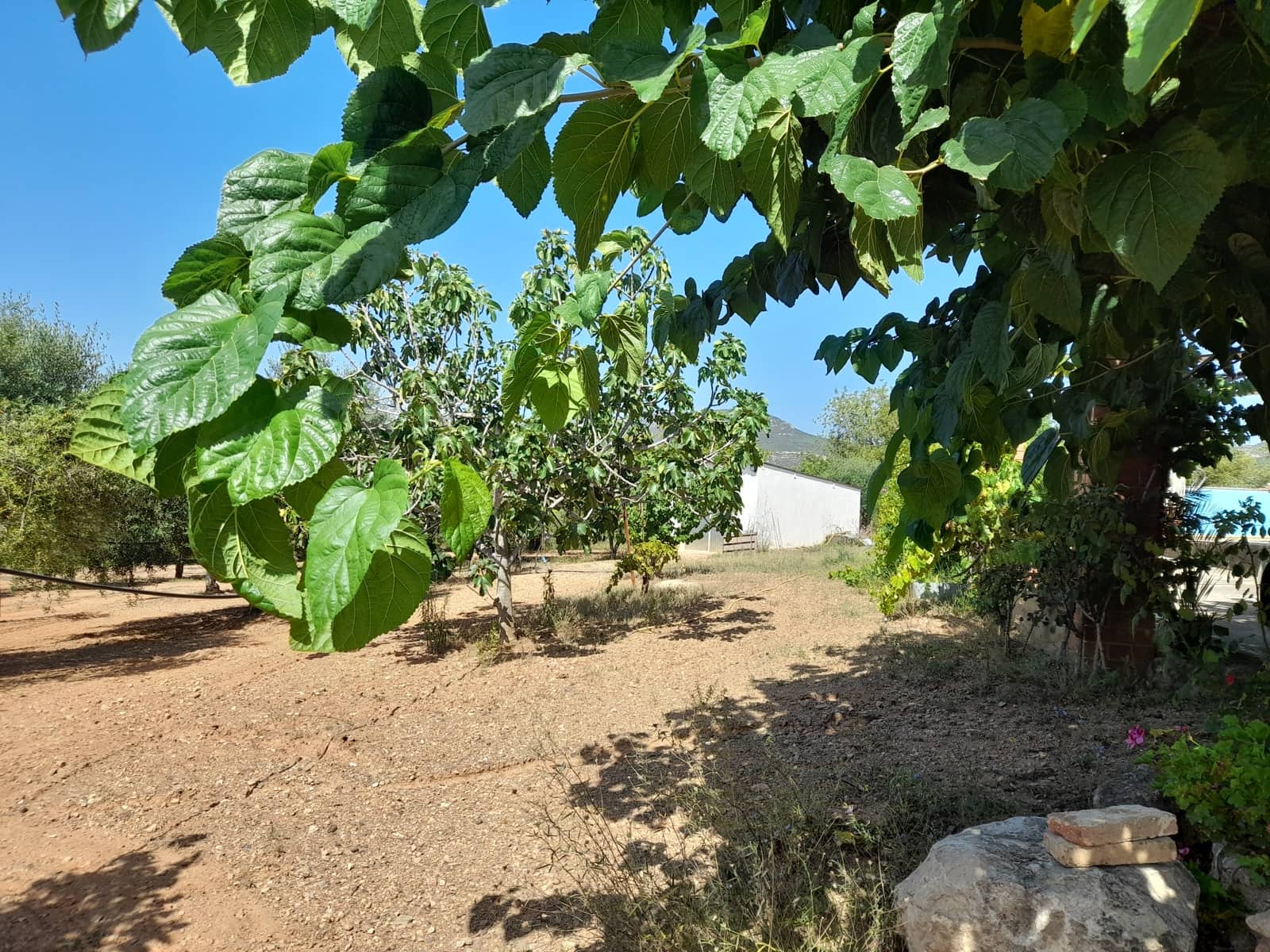 1 sypialnia Finka/Dom wiejski na sprzedaż w Valls z basenem - 109 000 € (Ref: 8935656)