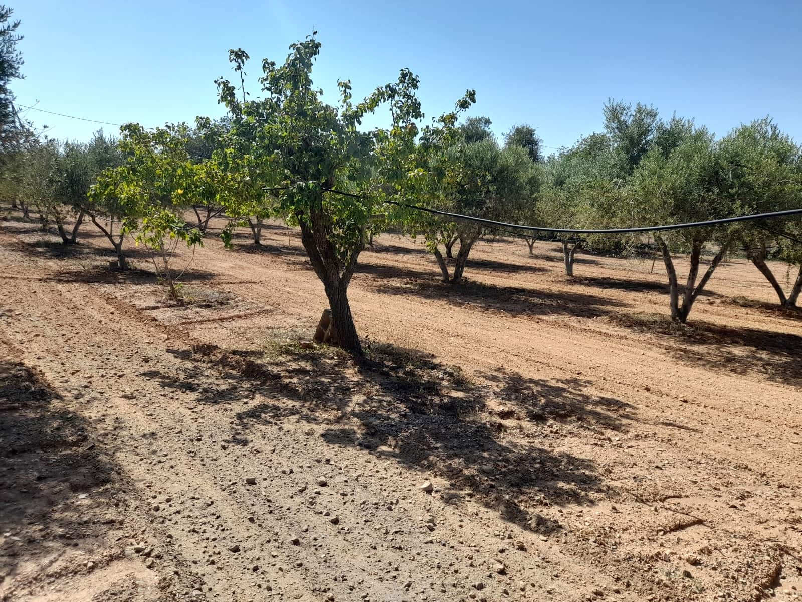 1 sypialnia Finka/Dom wiejski na sprzedaż w Valls z basenem - 109 000 € (Ref: 8935656)