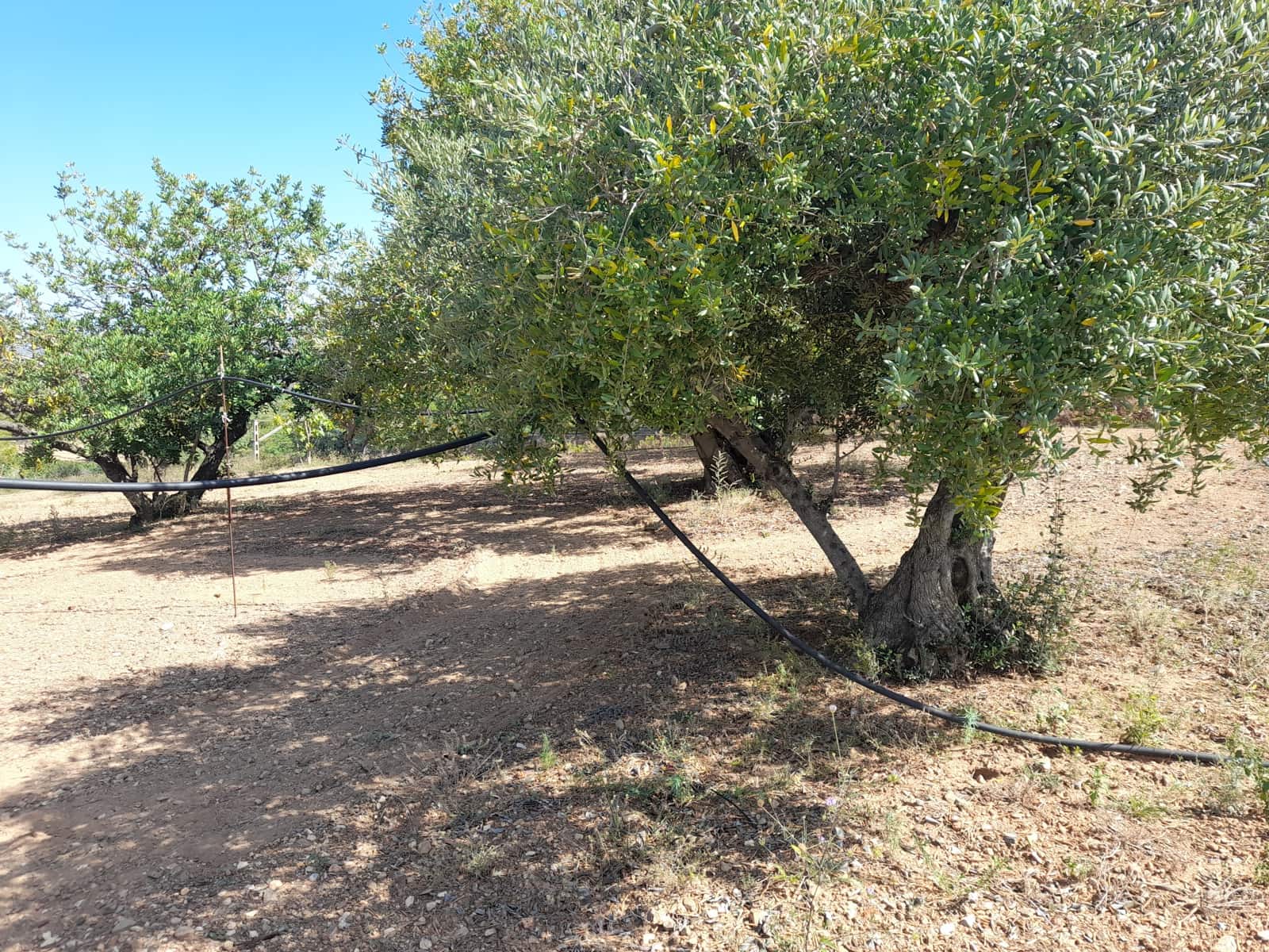 1 sypialnia Finka/Dom wiejski na sprzedaż w Valls z basenem - 109 000 € (Ref: 8935656)