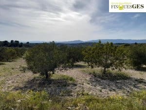 Finca/Casa Rural en La Secuita en venta - 55.900 € (Ref: 9827726)