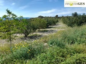 Finca/Casa Rural en La Secuita en venta - 55.900 € (Ref: 9827726)