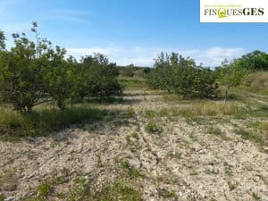 Finca/Casa Rural en La Secuita en venta - 55.900 € (Ref: 9827726)