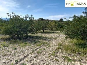Finca/Casa Rural en La Secuita en venta - 55.900 € (Ref: 9827726)