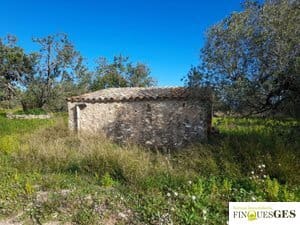 Grunde uden byggetilladelser til salg i La Maso - € 19.900 (Ref: 9827728)