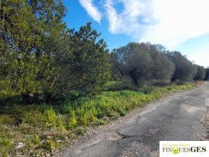 Grunde uden byggetilladelser til salg i La Maso - € 19.900 (Ref: 9827728)