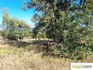 Grunde uden byggetilladelser til salg i La Masó - € 19.900 (Ref: 9827728)