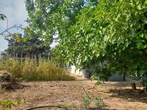 1 sovrum Finca/Hus på landet till salu i La Masó - 75 000 € (Ref: 9989819)