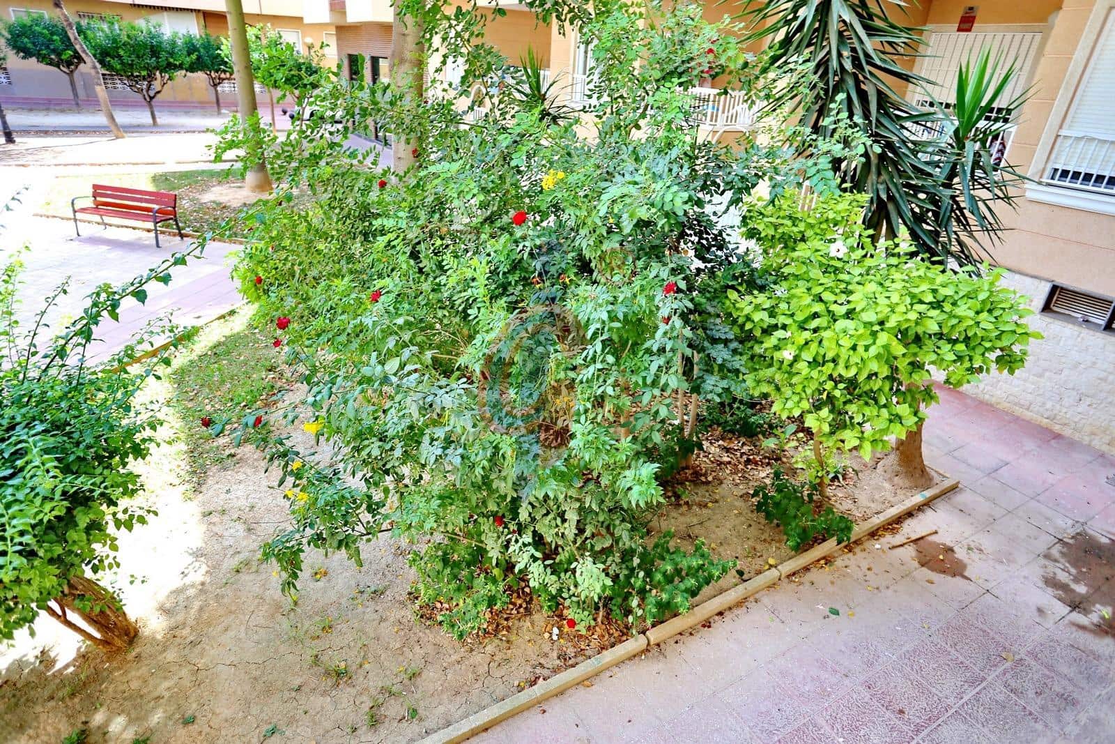 2 Zimmer Wohnung zu verkaufen in Guardamar del Segura - 129.990 € (Ref: 10024254)