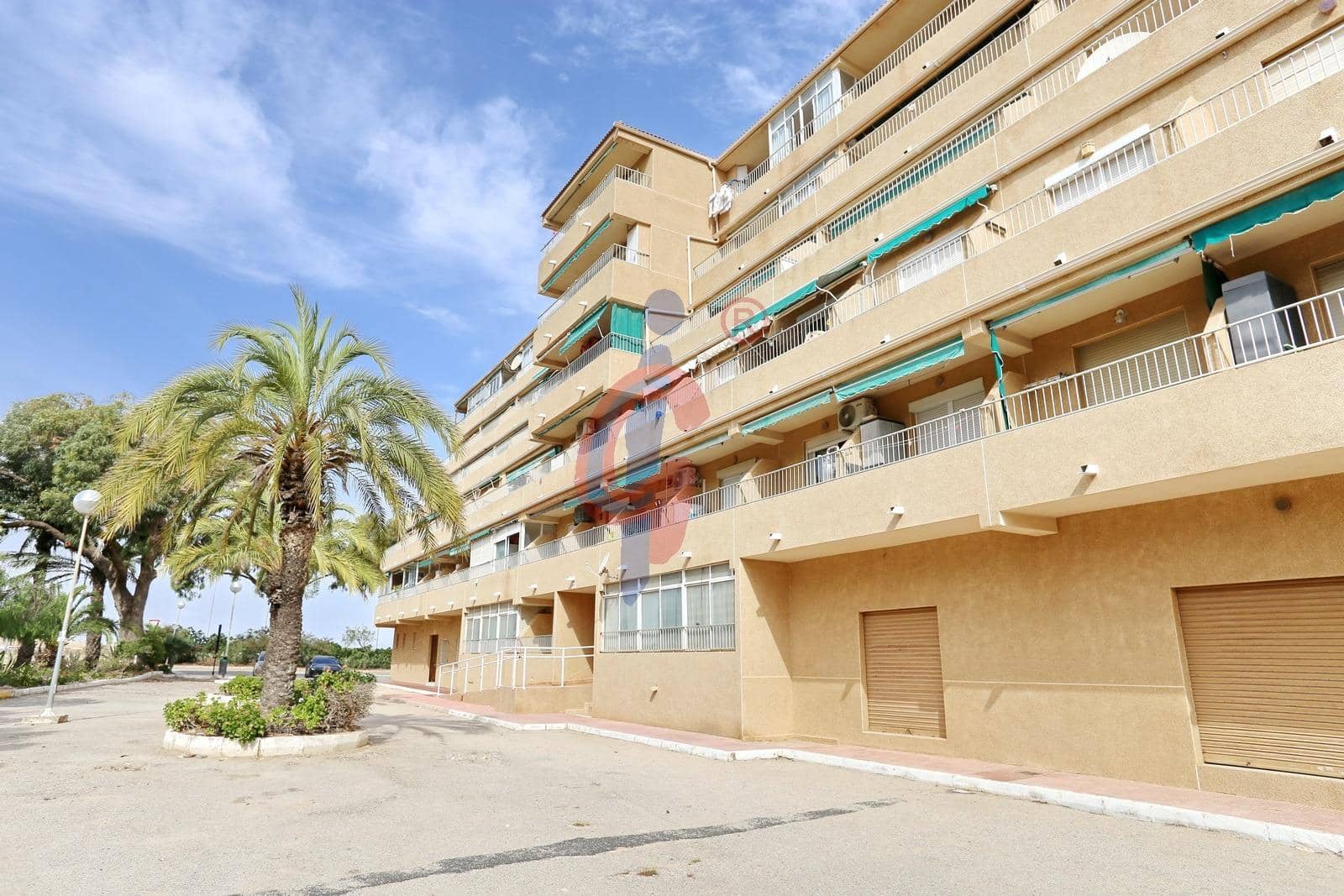 1 Zimmer Wohnung zu verkaufen in Guardamar del Segura - 95.000 € (Ref: 10068051)