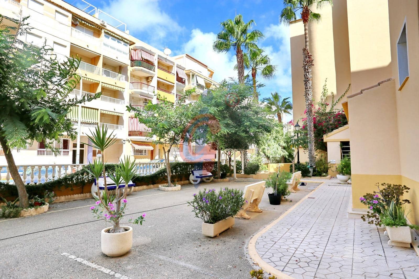 2 camera da letto Attico in vendita in Guardamar del Segura con piscina garage - 319.900 € (Rif: 10086299)