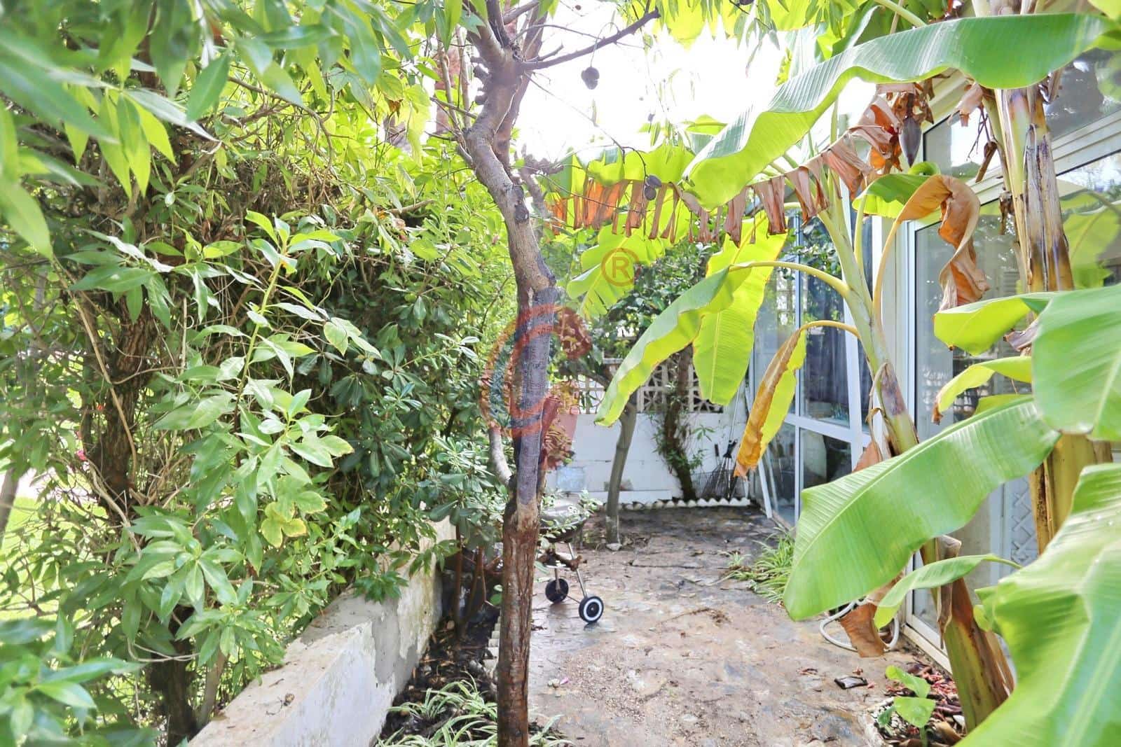 Adosado de 3 habitaciones en Guardamar del Segura en venta con piscina - 289.990 € (Ref: 10174662)