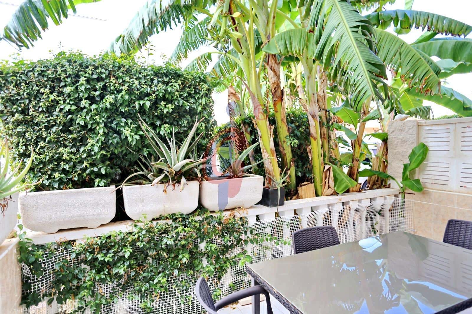 Adosado de 3 habitaciones en Guardamar del Segura en venta con piscina - 289.990 € (Ref: 10174662)