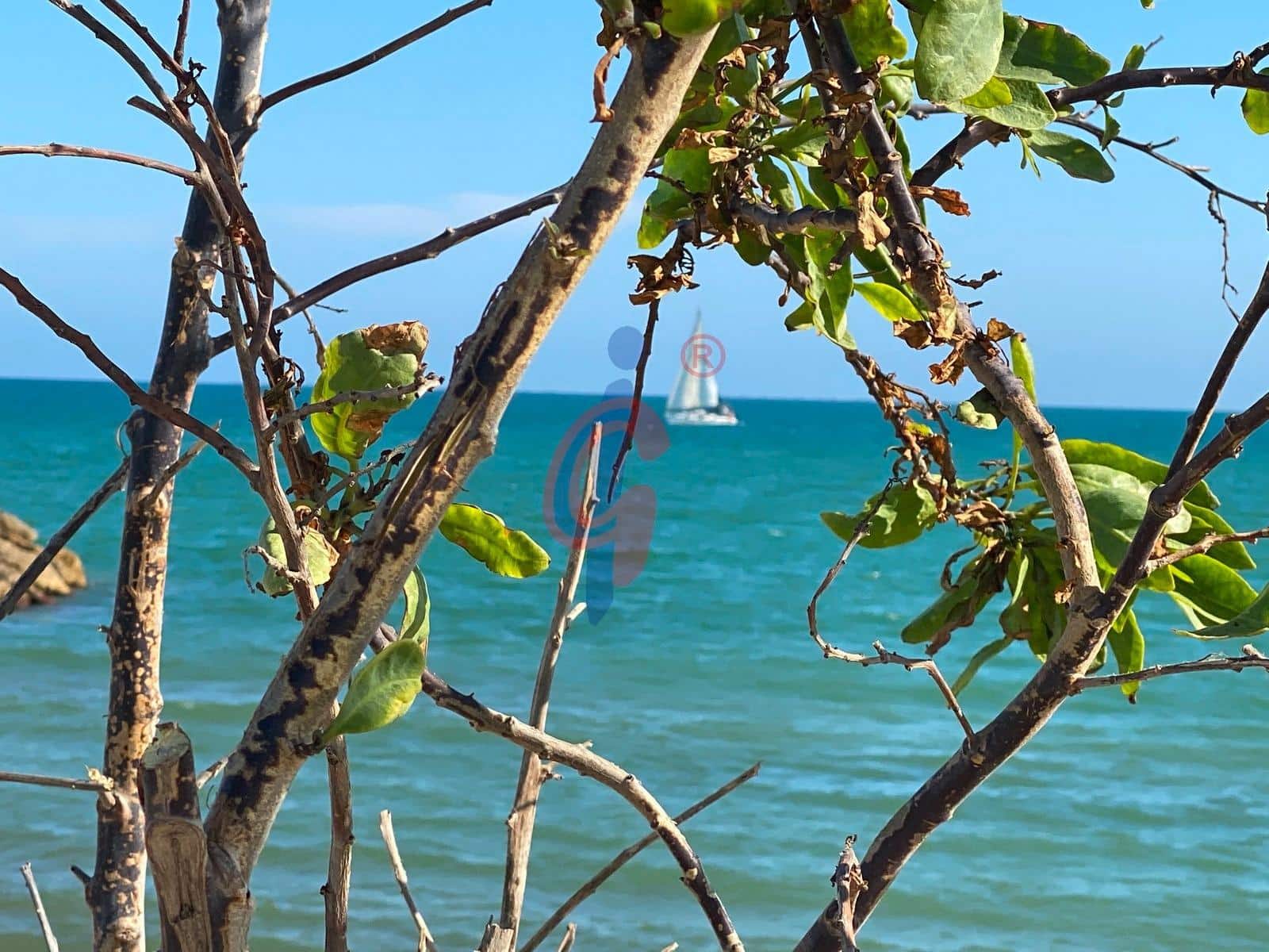 1 sypialnia Apartament na sprzedaż w Guardamar del Segura - 120 000 € (Ref: 8817870)