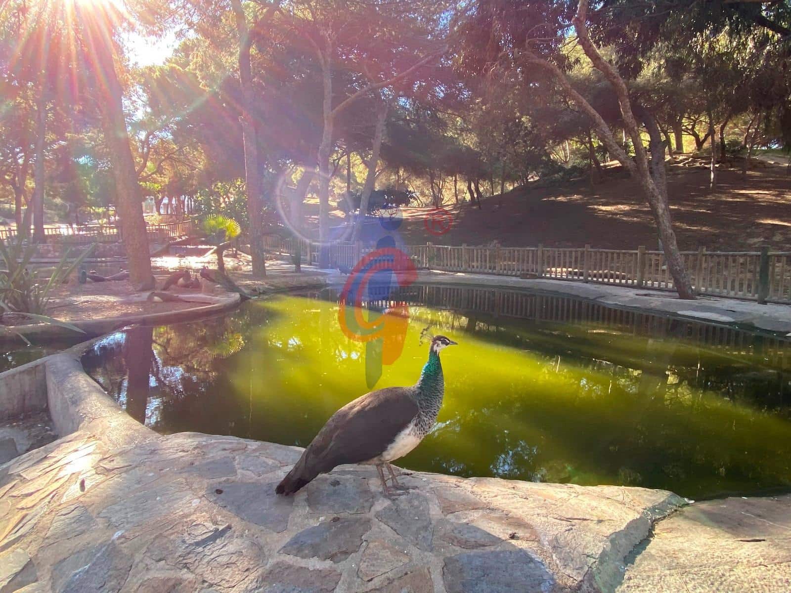 2 quarto Apartamento para venda em Guardamar del Segura com piscina - 199 900 € (Ref: 8841053)