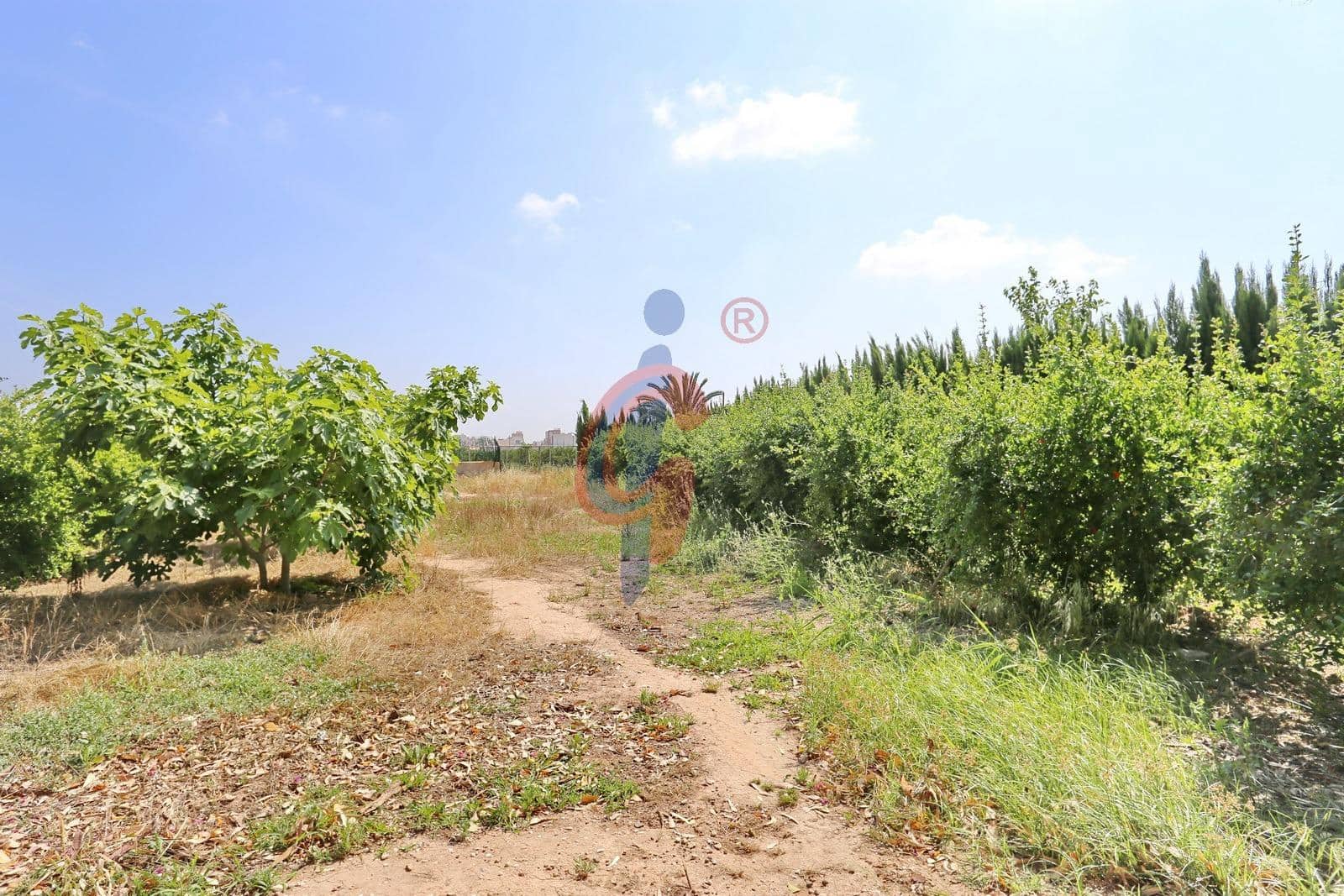 5 soveværelse Villa til salg i Albatera med swimmingpool garage - € 1.480.000 (Ref: 9062497)