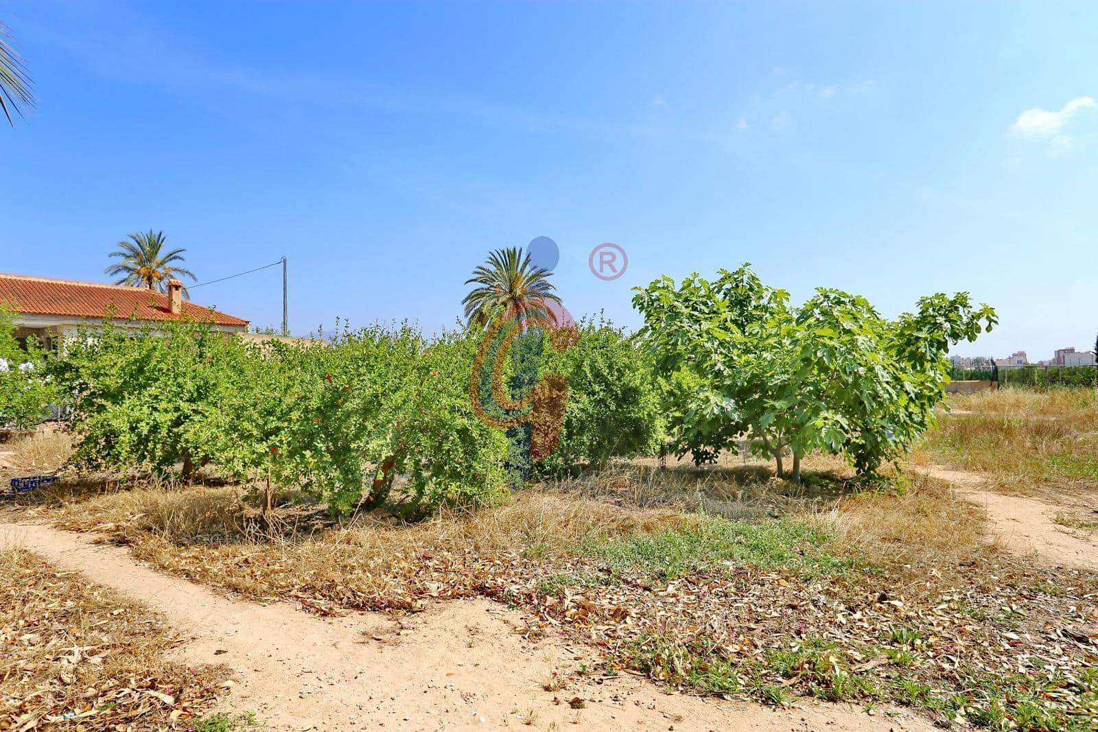 5 soveværelse Villa til salg i Albatera med swimmingpool garage - € 1.480.000 (Ref: 9062497)