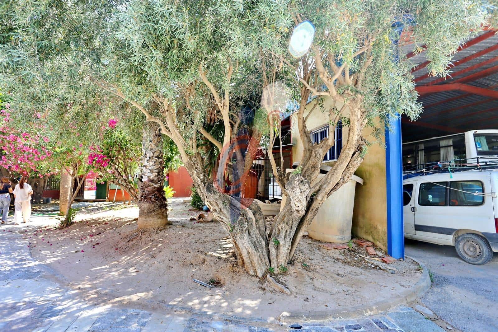 5 soveværelse Villa til salg i Albatera med swimmingpool garage - € 1.480.000 (Ref: 9062497)