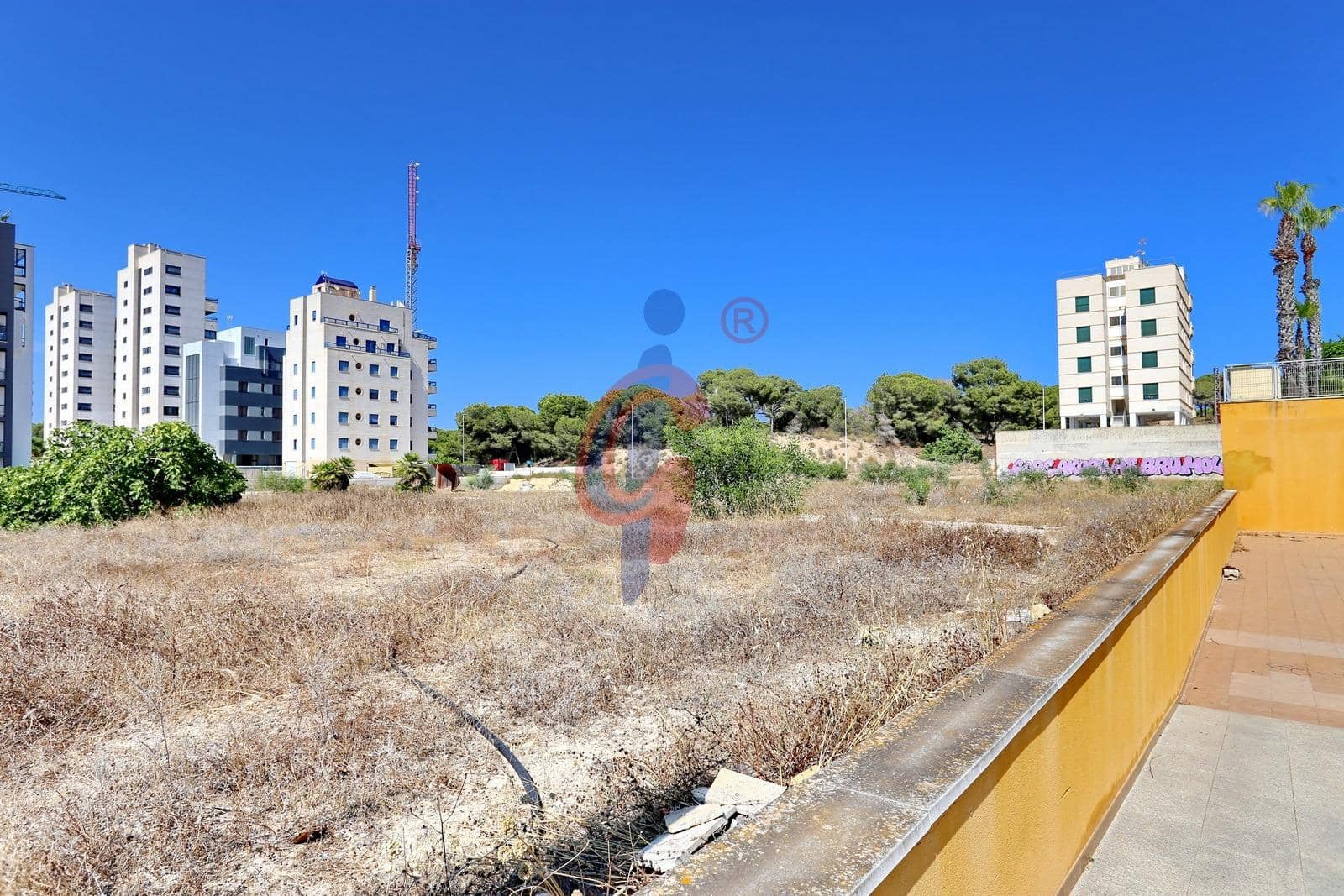 Commercial for sale in Guardamar del Segura - € 104,900 (Ref: 9110440)