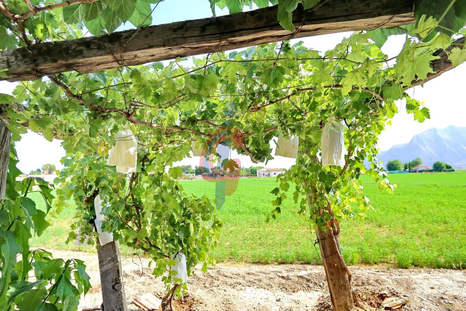 3 sypialnia Finka/Dom wiejski na sprzedaż w Callosa de Segura - 129 900 € (Ref: 9125190)