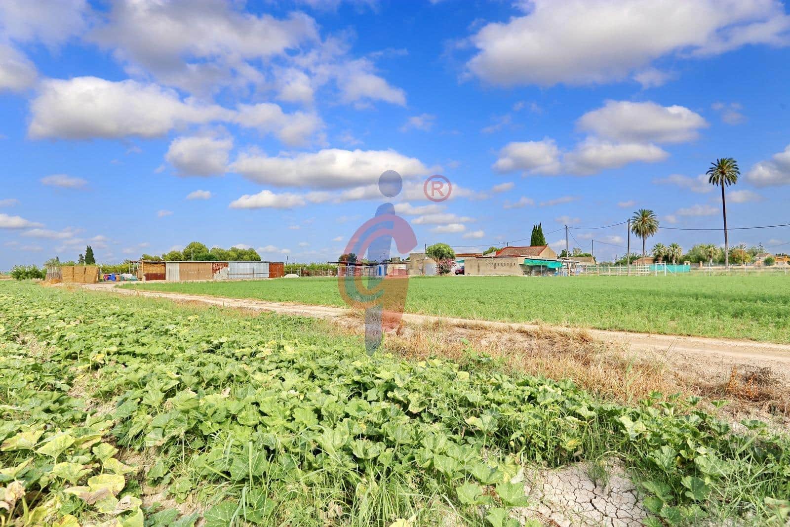 3 sypialnia Finka/Dom wiejski na sprzedaż w Callosa de Segura - 129 900 € (Ref: 9125190)