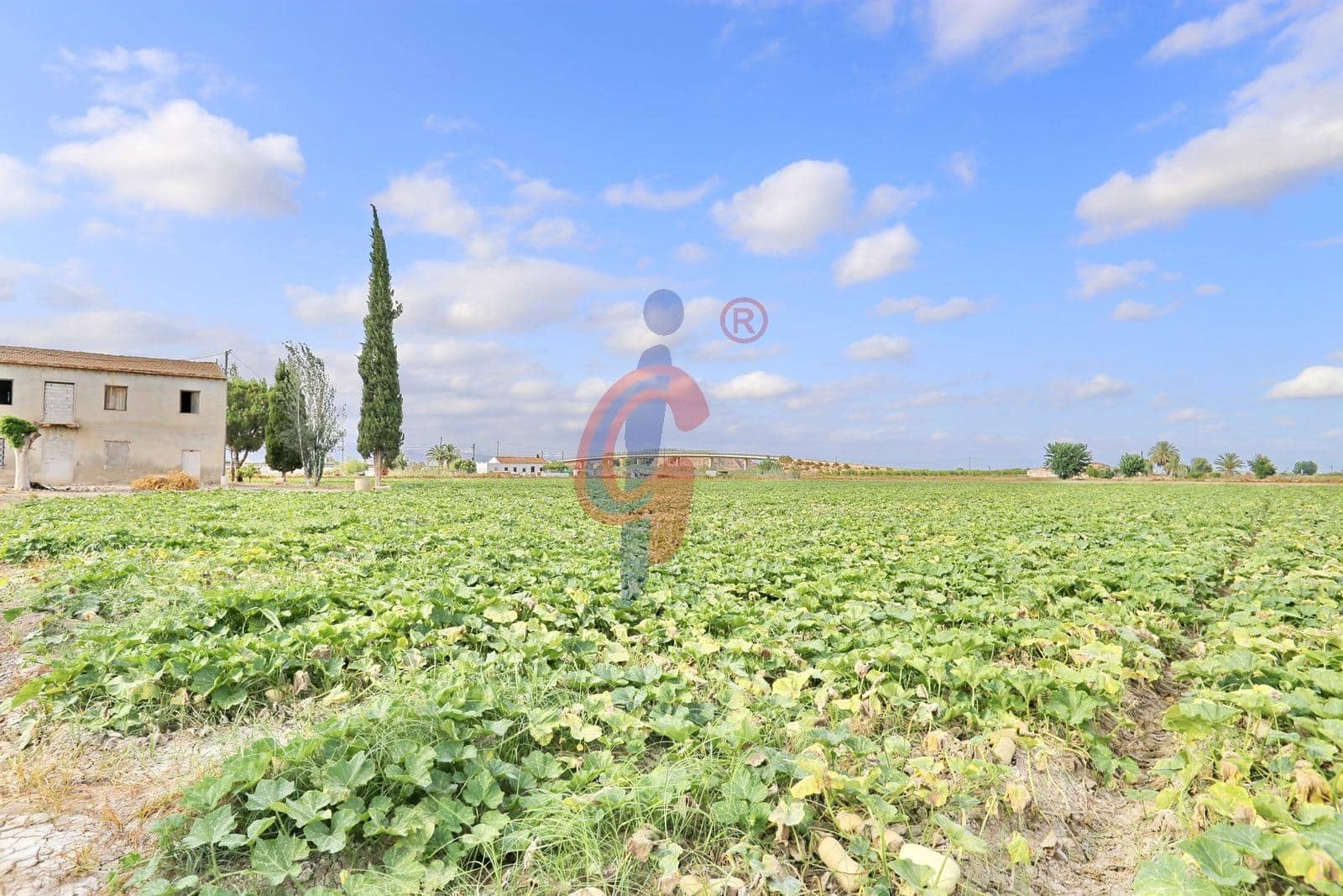 3 chambre Finca/Maison de Campagne à vendre à Callosa de Segura - 129 900 € (Ref: 9125190)