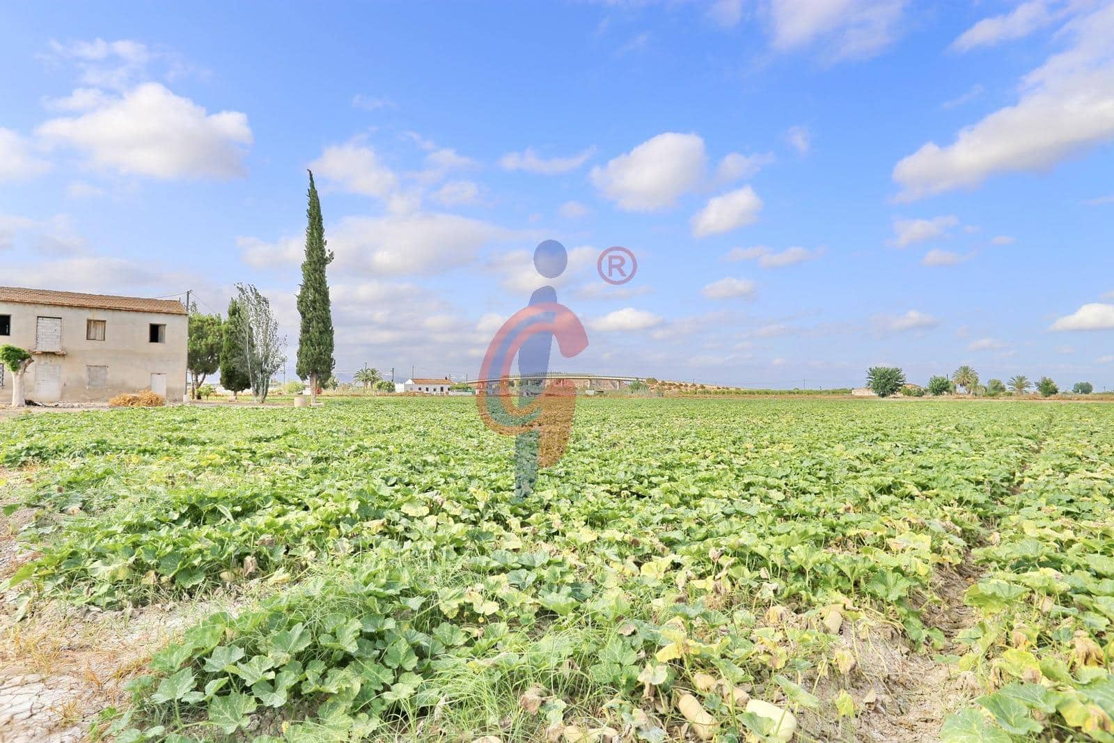 3 chambre Maison de Ville à vendre à Callosa de Segura - 129 900 € (Ref: 9125190)