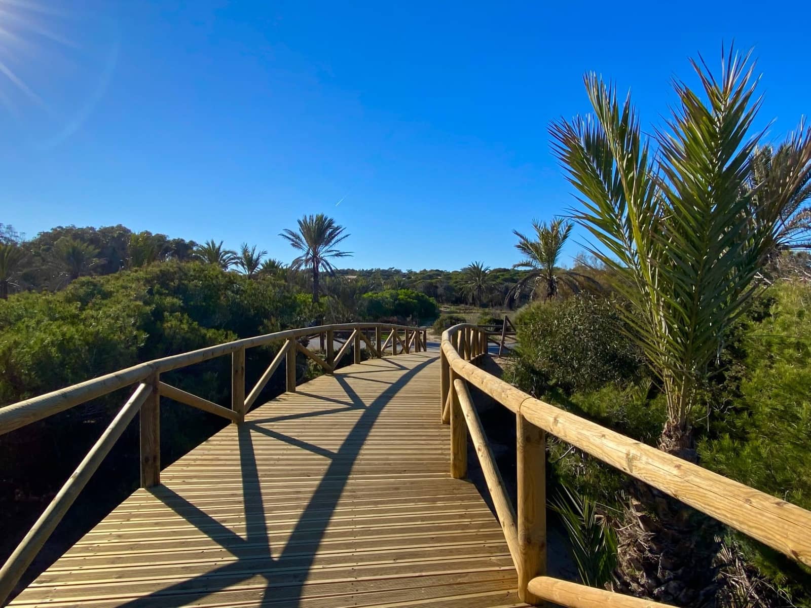 Comercial para venda em Guardamar del Segura - 250 000 € (Ref: 9349663)