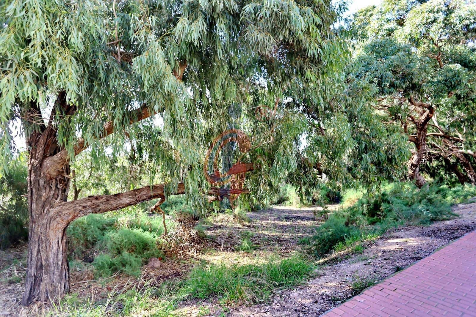 2 quarto Penthouse para venda em Guardamar del Segura com piscina garagem - 229 500 € (Ref: 9349664)