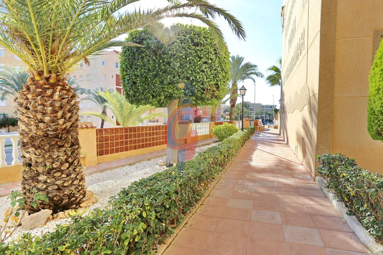 1 bedroom Flat for sale in Guardamar del Segura with pool - € 159,500 (Ref: 9495394)